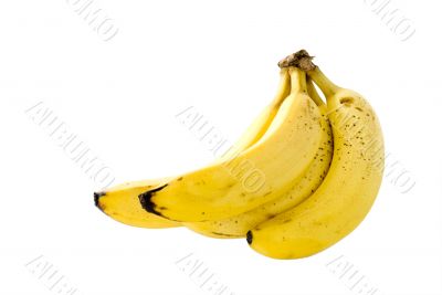 Bananas