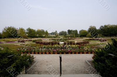Arboretum Garden