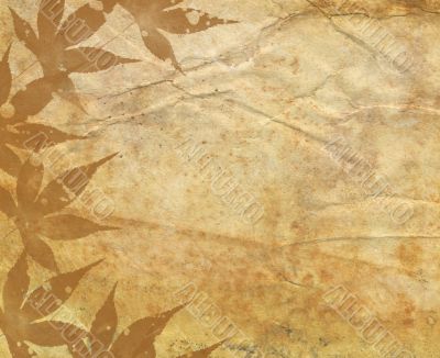 Old Paper Texture With Decorative elements