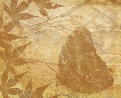Old Paper Texture With Decorative elements