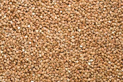 Buckwheat