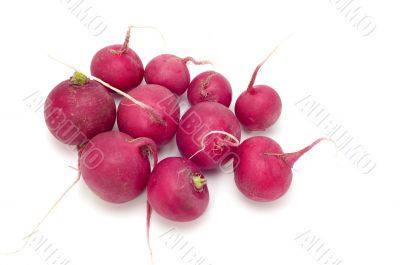 radish