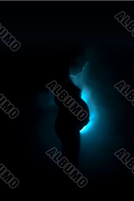 Artistical view of a pregnant woman