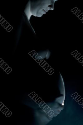 Artistical view of a pregnant woman