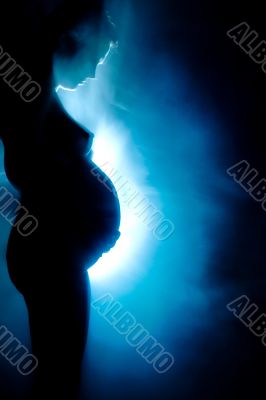 Artistical view of a pregnant woman
