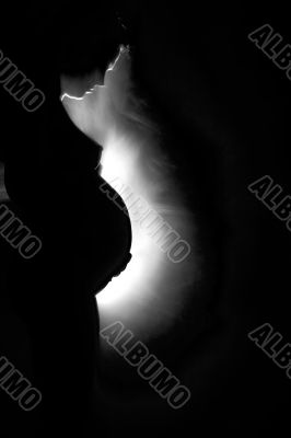 Artistical view of a pregnant woman