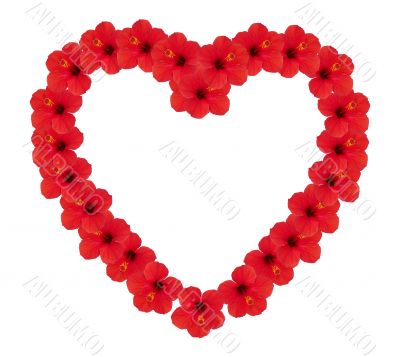Heart from flowers