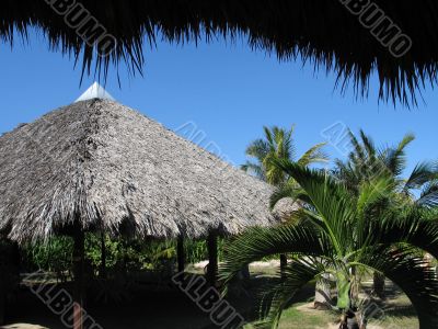 roof made out of palm leaves