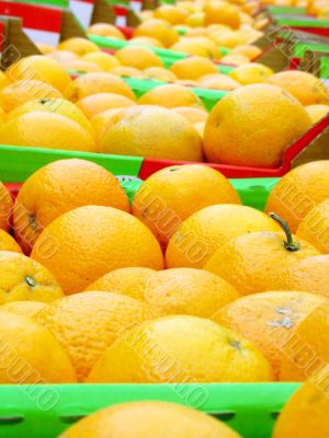 Many oranges on the market