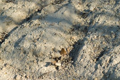 Dry Earth