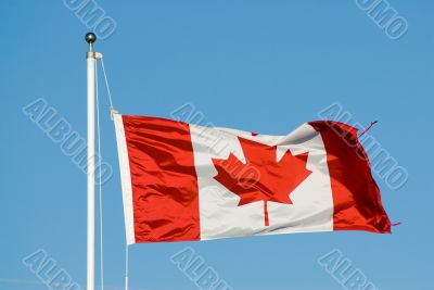Canadian Flag