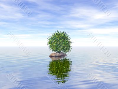 lonely tree