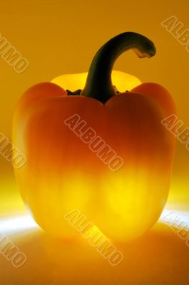 Paprika