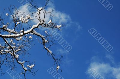 Winter crystal sky