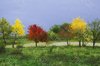 Multicoloured trees