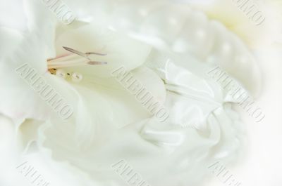 box in pearl shape
