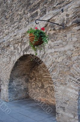 Wall with flowers