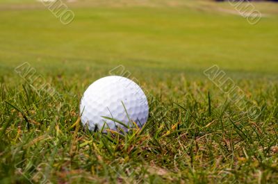 golfball