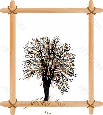 Autumn tree