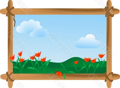 Summer meadow