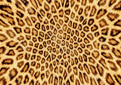 Abstraction leopard background