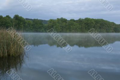 Mist at the lake