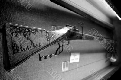 Medieval Gun