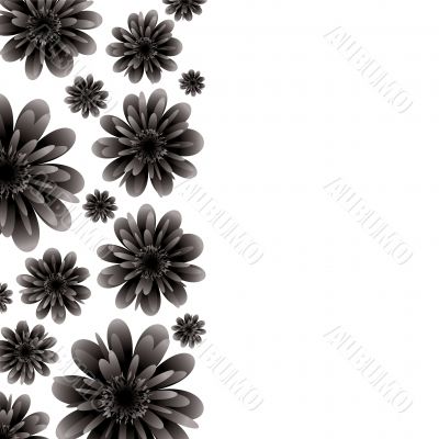 floral banner black