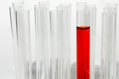 Test Tubes