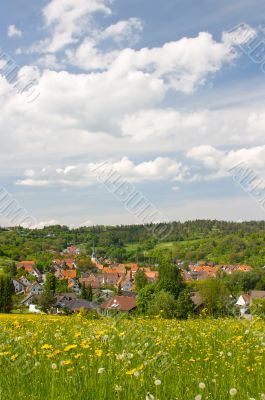 Village in Spring