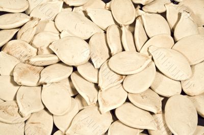 pumpkin-seed