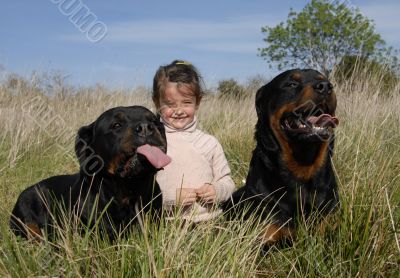 dangerous dogs and child