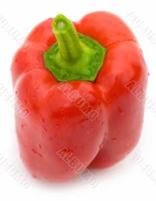 sweet pepper