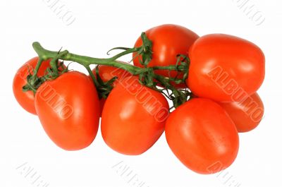  branch is a tomatoes
