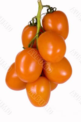  branch is a tomatoes