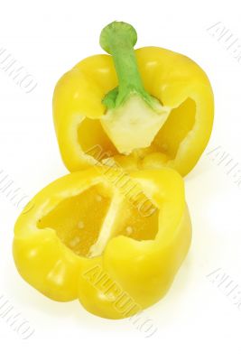 Yellow paprika 7