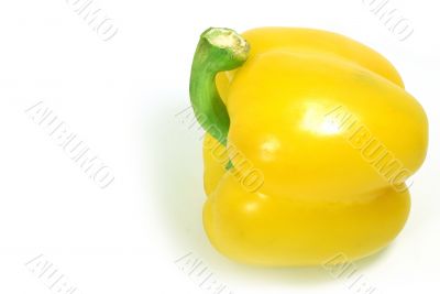 Yellow paprika 5