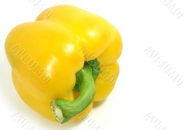 Yellow paprika 4