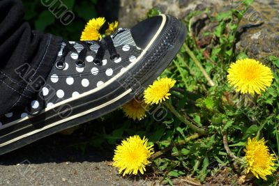 foot on the dandelions