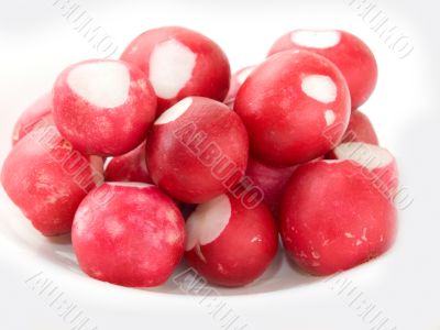 Radish