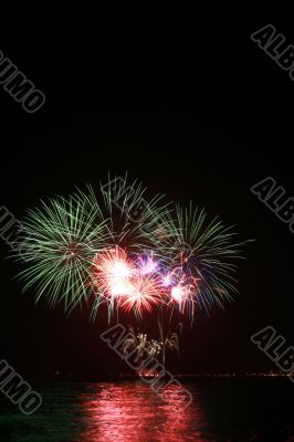 colorful dandelion fireworks