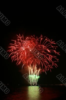 red flower bouquet fireworks