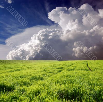 Green field and white clouds