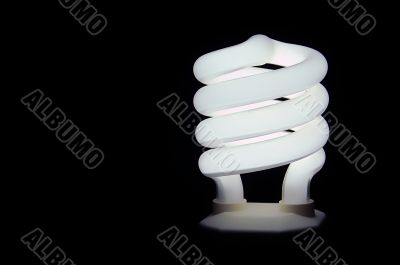 Compact fluorescent light bulb