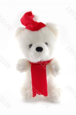 Teddy bear with Santa hat on a white background