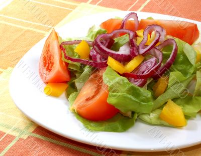 Salad