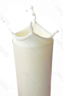 Milk