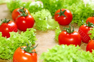 Fresh salad with tomatoes