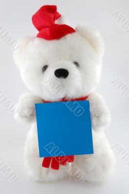 Teddy bear