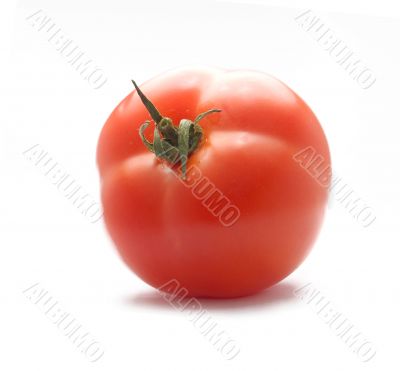 Fresh Red Tomato